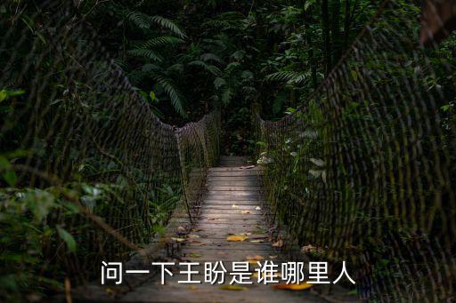 王盼，問一下王盼是誰哪里人