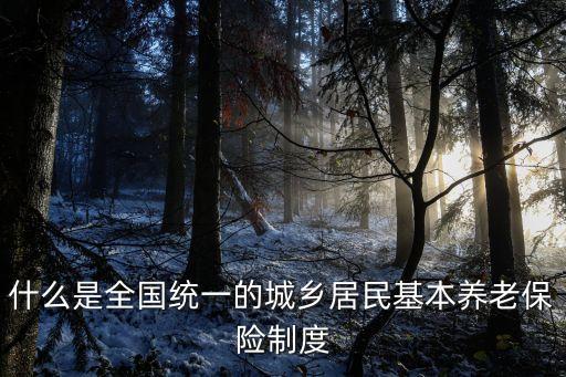 什么是全國(guó)統(tǒng)一的城鄉(xiāng)居民基本養(yǎng)老保險(xiǎn)制度