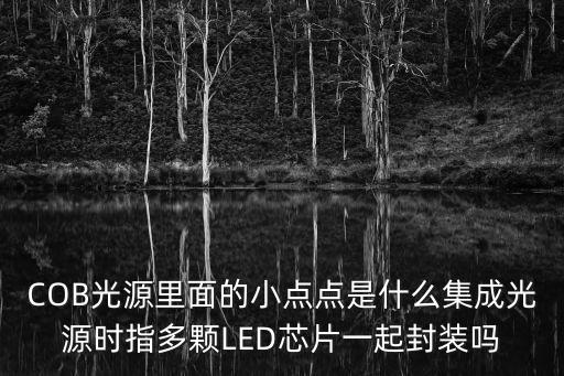 COB光源里面的小點(diǎn)點(diǎn)是什么集成光源時(shí)指多顆LED芯片一起封裝嗎