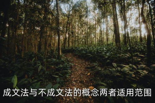 不成文法，成文法和不成文法的區(qū)別