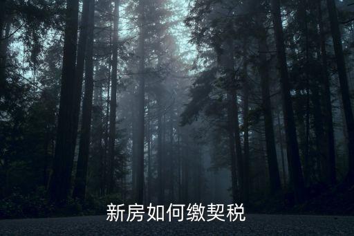 新房如何繳契稅