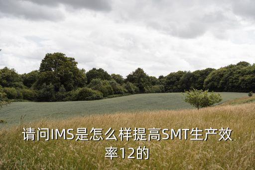 錦天城ims，IMS需要多大的帶寬