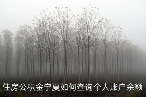 住房公積金寧夏如何查詢個(gè)人賬戶余額