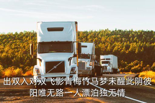 出雙入對(duì)雙飛影青梅竹馬夢(mèng)未醒此陰彼陽(yáng)唯無(wú)路一人漂泊獨(dú)無(wú)情