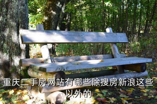 重慶網(wǎng)上房地產(chǎn)，重慶哪個房產(chǎn)網(wǎng)站的房產(chǎn)經(jīng)紀(jì)人多些