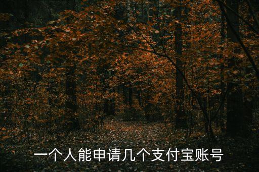 一個(gè)人可以注冊(cè)幾個(gè)支付寶，一個(gè)人能申請(qǐng)幾個(gè)支付寶賬號(hào)