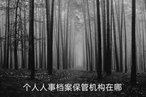 人事檔案存放地，個人人事檔案保管機構(gòu)在哪