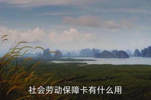 社會(huì)勞動(dòng)保障卡有什么用