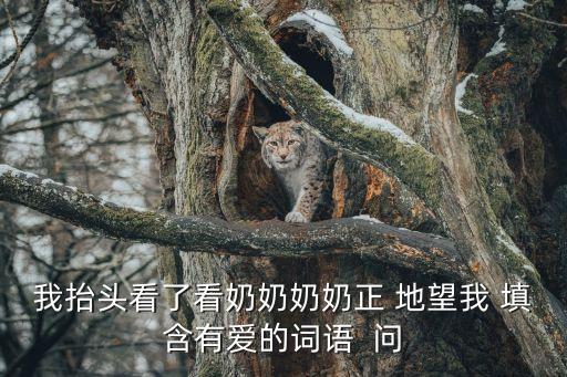 看了看，我抬頭看了看奶奶奶奶正 地望我 填含有愛(ài)的詞語(yǔ)  問(wèn)