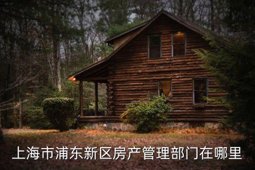 上海市浦東新區(qū)房產(chǎn)管理部門在哪里