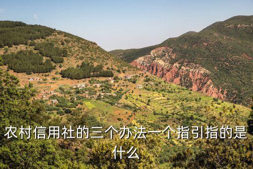 農(nóng)村信用社的三個辦法一個指引指的是什么