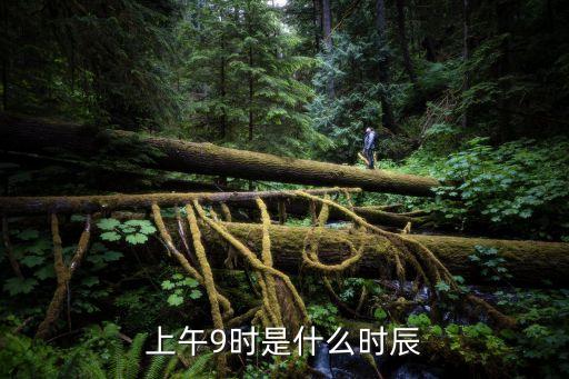 早上九點是什么時辰，早上九點多是什么時辰