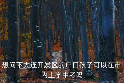 想問下大連開發(fā)區(qū)的戶口孩子可以在市內(nèi)上學(xué)中考嗎