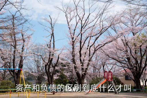 資產(chǎn)和負債的區(qū)別到底什么才叫