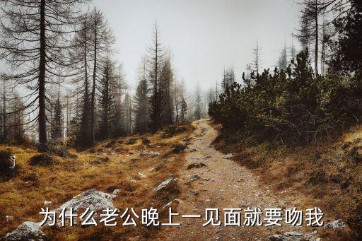為什么老公晚上一見面就要吻我