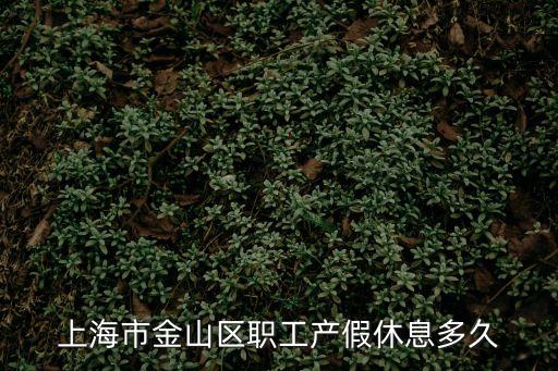 上海市金山區(qū)職工產(chǎn)假休息多久