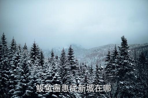 惠民新城，沈陽沈北新區(qū)莆田路六號惠民新城有什么公交車