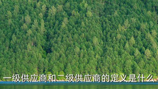 一級供應商和二級供應商的定義是什么