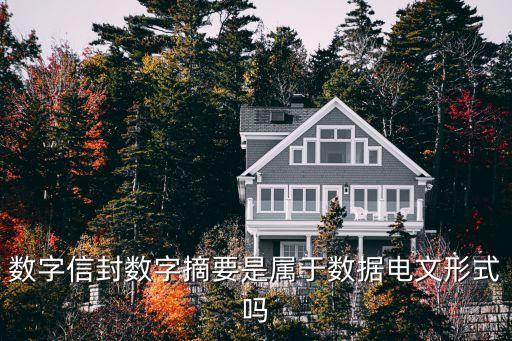 數(shù)字信封數(shù)字摘要是屬于數(shù)據(jù)電文形式嗎