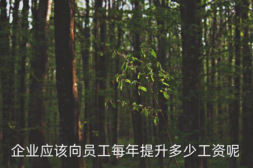 企業(yè)應(yīng)該向員工每年提升多少工資呢