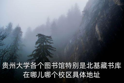 貴州大學(xué)圖書館，貴州大學(xué)圖書館的用戶名合密碼是什么