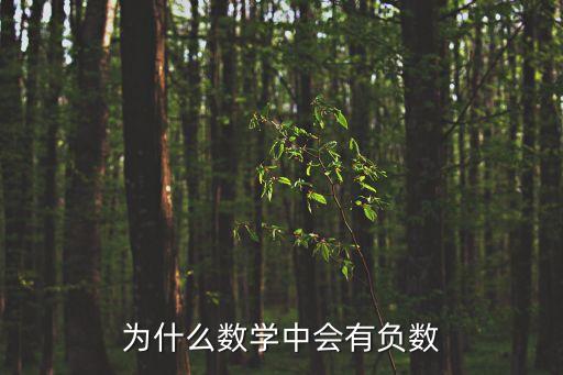 為什么數(shù)學(xué)中會有負(fù)數(shù)