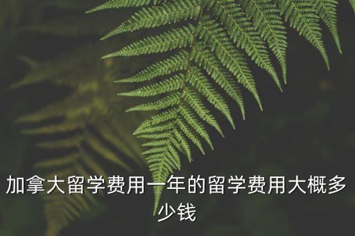 加拿大留學(xué)費(fèi)用一年的留學(xué)費(fèi)用大概多少錢