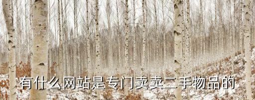 有什么網(wǎng)站是專門賣賣二手物品的