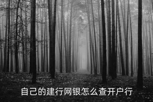 自己的建行網(wǎng)銀怎么查開戶行