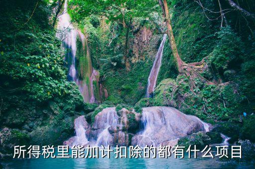 加計(jì)扣除是什么意思啊，預(yù)繳企業(yè)所得稅時(shí)真的可以有加計(jì)扣除項(xiàng)了么