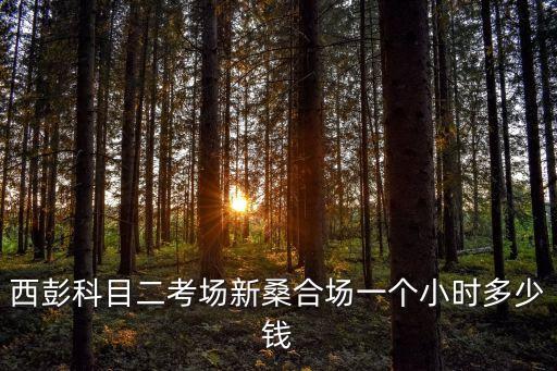 西彭科目二考場新桑合場一個小時多少錢