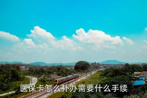 醫(yī)?？ㄑa卡流程，醫(yī)?？▉G失的補辦程序