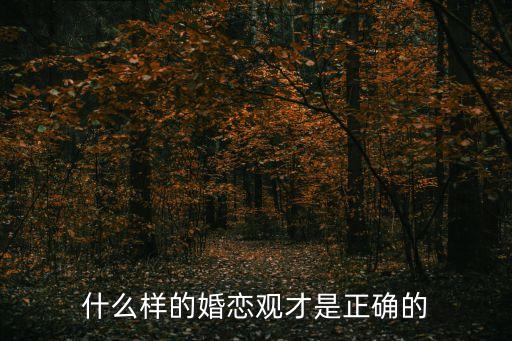 什么樣的婚戀觀才是正確的