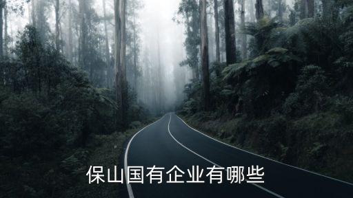 保山國有企業(yè)有哪些