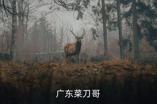 菜刀哥，菜刀哥和雙刀哥都是一個(gè)人么