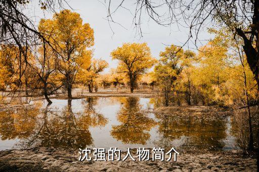 沈強(qiáng)，沈強(qiáng)的人物簡介