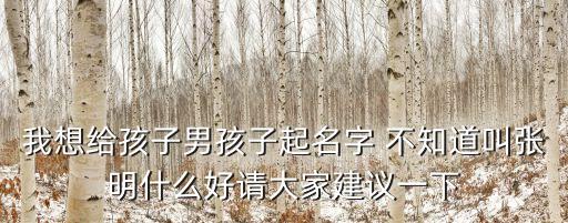 我想給孩子男孩子起名字 不知道叫張明什么好請大家建議一下