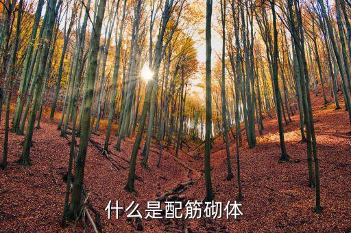 配筋砌體，什么是配筋砌體框架填充墻里設(shè)有與砼柱的垃結(jié)筋這種砌體就屬