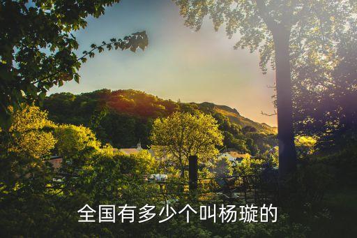 全國(guó)有多少個(gè)叫楊璇的