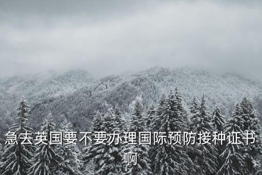 急去英國(guó)要不要辦理國(guó)際預(yù)防接種證書(shū)啊