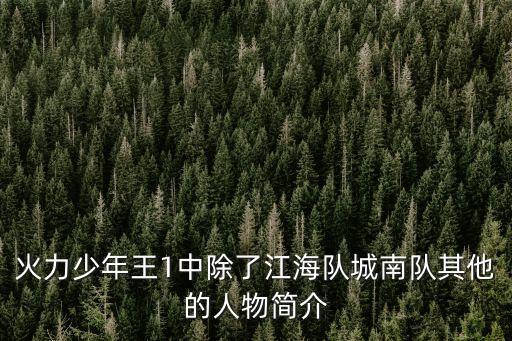 火力少年王1中除了江海隊(duì)城南隊(duì)其他的人物簡介