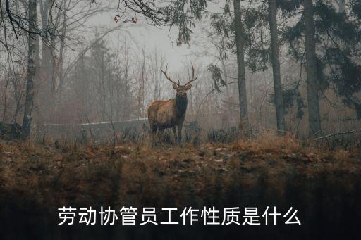 勞動(dòng)協(xié)管員工作性質(zhì)是什么