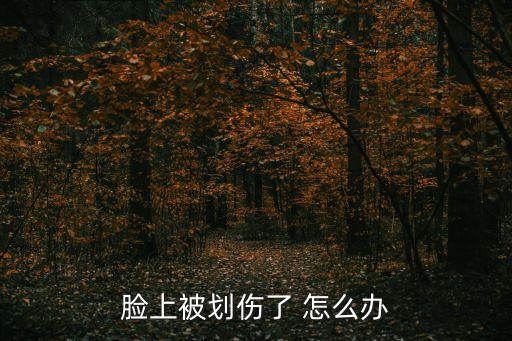 劃臉，臉上被劃傷了 怎么辦