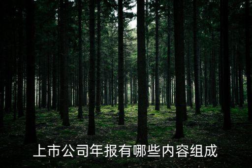 上市公司年報，上市公司年報在哪里查