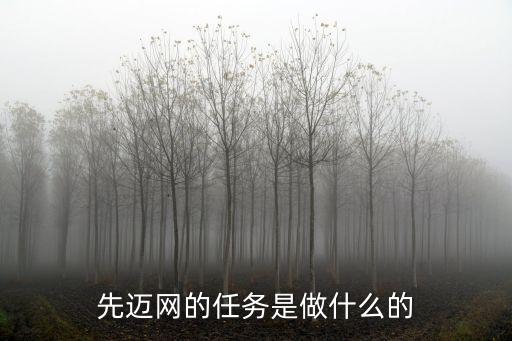 先邁網(wǎng)，先邁網(wǎng)APP是什么意思