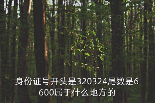 身份證號開頭是320324尾數(shù)是6600屬于什么地方的