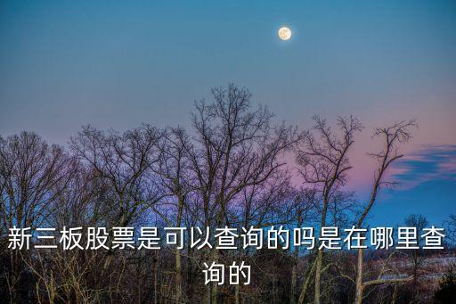 新三板股票是可以查詢的嗎是在哪里查詢的