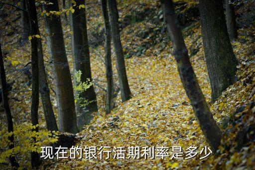 現(xiàn)在的銀行活期利率是多少