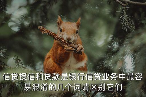 授信貸款，信貸授信和貸款是銀行信貸業(yè)務(wù)中最容易混淆的幾個(gè)詞請區(qū)別它們