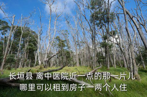 長垣縣 離中醫(yī)院近一點的那一片兒 哪里可以租到房子一兩個人住